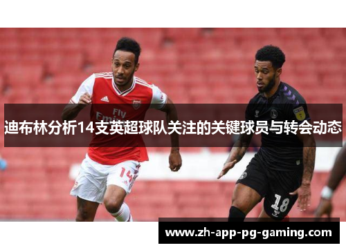 迪布林分析14支英超球队关注的关键球员与转会动态