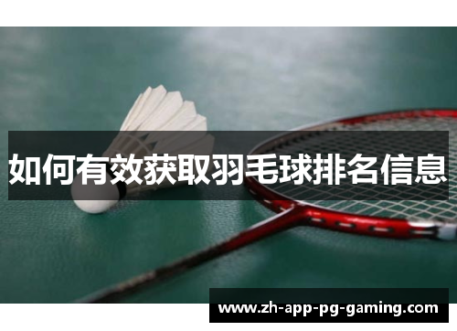 如何有效获取羽毛球排名信息