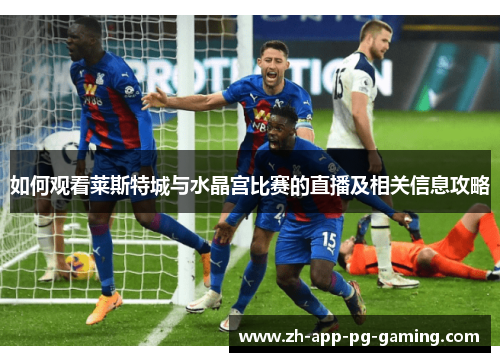 如何观看莱斯特城与水晶宫比赛的直播及相关信息攻略