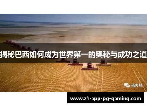 揭秘巴西如何成为世界第一的奥秘与成功之道