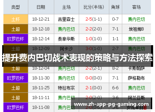 提升费内巴切战术表现的策略与方法探索 提升费内巴切战术表现的策略与方法探索